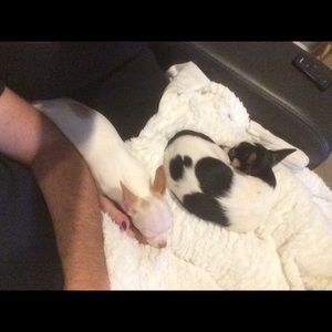 Meet your Posher, Becky